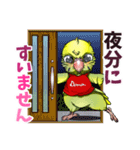 かわいいセキセイインコ ドナの日常（個別スタンプ：26）