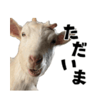 ヤギのすたんぷ 2（個別スタンプ：9）