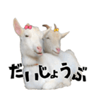 ヤギのすたんぷ 2（個別スタンプ：17）