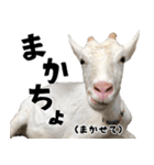 ヤギのすたんぷ 2（個別スタンプ：18）