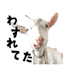 ヤギのすたんぷ 2（個別スタンプ：22）