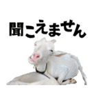 ヤギのすたんぷ 2（個別スタンプ：32）