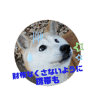 みんなと一緒 17（個別スタンプ：2）