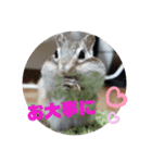 みんなと一緒 17（個別スタンプ：9）