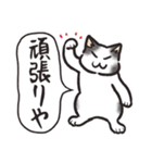 ”ネコの日常5”ネコさんと一緒05 関西弁（個別スタンプ：11）
