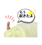 新入りが仲間入り！宜しくね♪（個別スタンプ：13）