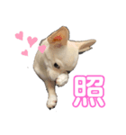 みにースタンプ①（個別スタンプ：1）