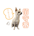 みにースタンプ①（個別スタンプ：4）