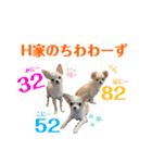みにースタンプ①（個別スタンプ：7）