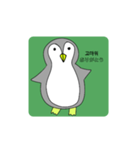 話すペンギン（韓国語、日本語)（個別スタンプ：8）