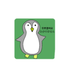 話すペンギン（韓国語、日本語)（個別スタンプ：13）