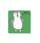 話すペンギン（韓国語、日本語)（個別スタンプ：33）