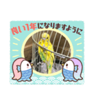セキセイインコのスタンプ その9（個別スタンプ：4）