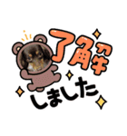 いぬころもち（個別スタンプ：3）