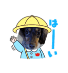いぬころもち（個別スタンプ：6）