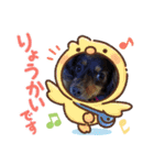 いぬころもち（個別スタンプ：7）