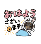 いぬころもち（個別スタンプ：12）