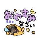 いぬころもち（個別スタンプ：14）