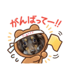 いぬころもち（個別スタンプ：16）