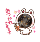 いぬころもち（個別スタンプ：20）