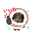 いぬころもち（個別スタンプ：23）
