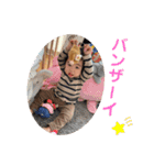 みなと＆もか（個別スタンプ：4）