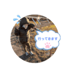 みなと＆もか（個別スタンプ：7）