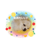 LUNA＆SEAです！！なんでもOK！！（個別スタンプ：1）