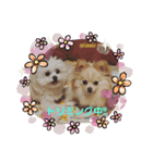 LUNA＆SEAです！！なんでもOK！！（個別スタンプ：2）