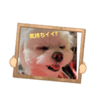 LUNA＆SEAです！！なんでもOK！！（個別スタンプ：3）