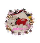LUNA＆SEAです！！なんでもOK！！（個別スタンプ：4）