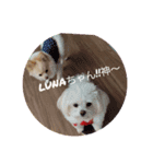 LUNA＆SEAです！！なんでもOK！！（個別スタンプ：6）
