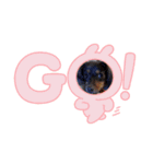 アンころもち（個別スタンプ：3）