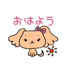 ふわふわかわいいイヌ（個別スタンプ：1）