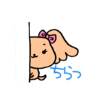 ふわふわかわいいイヌ（個別スタンプ：13）