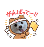 ポメラニアン〜ポメポメすたんぷ（個別スタンプ：29）