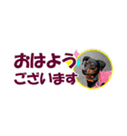 ミニピン 省スペース スタンプ4（個別スタンプ：1）
