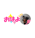 ミニピン 省スペース スタンプ4（個別スタンプ：2）