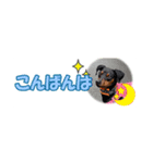 ミニピン 省スペース スタンプ4（個別スタンプ：4）