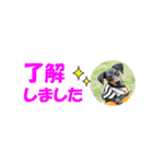 ミニピン 省スペース スタンプ4（個別スタンプ：6）