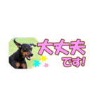 ミニピン 省スペース スタンプ4（個別スタンプ：9）