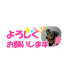 ミニピン 省スペース スタンプ4（個別スタンプ：10）