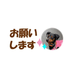 ミニピン 省スペース スタンプ4（個別スタンプ：11）
