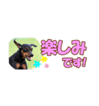 ミニピン 省スペース スタンプ4（個別スタンプ：15）