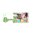 ミニピン 省スペース スタンプ4（個別スタンプ：18）