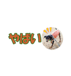 ミニピン 省スペース スタンプ4（個別スタンプ：20）