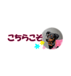 ミニピン 省スペース スタンプ4（個別スタンプ：22）