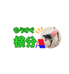 ミニピン 省スペース スタンプ4（個別スタンプ：26）