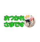 ミニピン 省スペース スタンプ4（個別スタンプ：27）