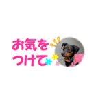 ミニピン 省スペース スタンプ4（個別スタンプ：29）